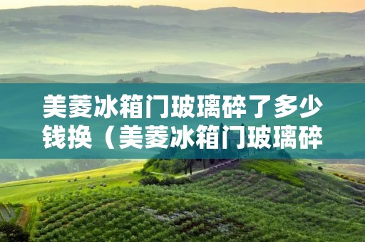 美菱冰箱门玻璃碎了多少钱换（美菱冰箱门玻璃碎了多少钱换一个）