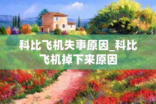 科比飞机失事原因_科比飞机掉下来原因 科比飞机失事原因_科比飞机掉下来原因