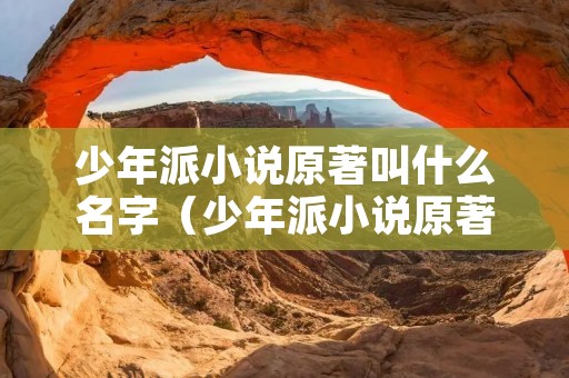 少年派小说原著叫什么名字（少年派小说原著叫什么名字来着）