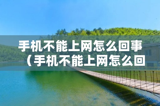 手机不能上网怎么回事(手机不能上网怎么回事呀) 手机不能上网怎么回事(手机不能上网怎么回事呀)