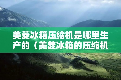 美菱冰箱压缩机是哪里生产的（美菱冰箱的压缩机是国产的吗）