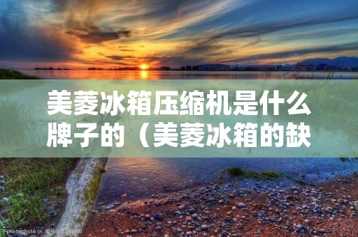 美菱冰箱压缩机是什么牌子的（美菱冰箱的缺点）