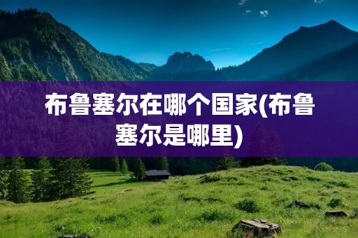 布鲁塞尔在哪个国家(布鲁塞尔是哪里) 布鲁塞尔在哪个国家(布鲁塞尔是哪里)