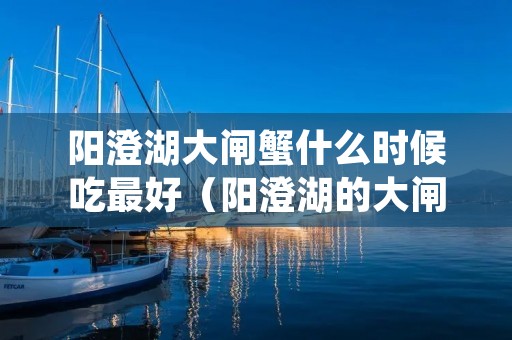 阳澄湖大闸蟹什么时候吃最好（阳澄湖的大闸蟹什么时候最好吃）