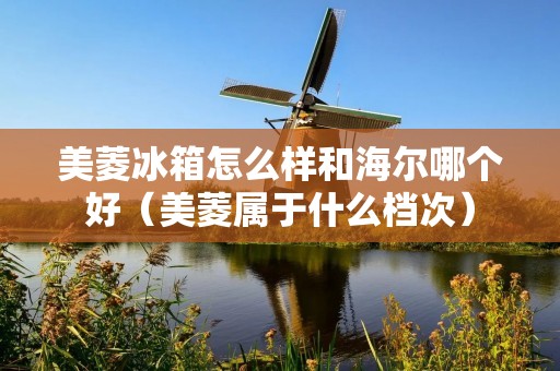 美菱冰箱怎么样和海尔哪个好（美菱属于什么档次）