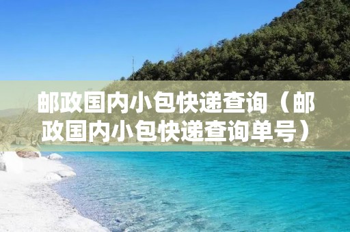 邮政国内小包快递查询（邮政国内小包快递查询单号）