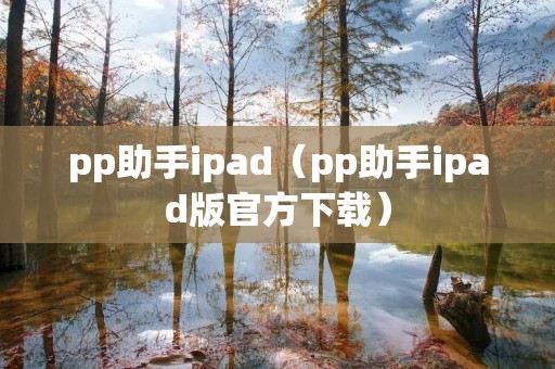 pp助手ipad（pp助手ipad版官方下载）