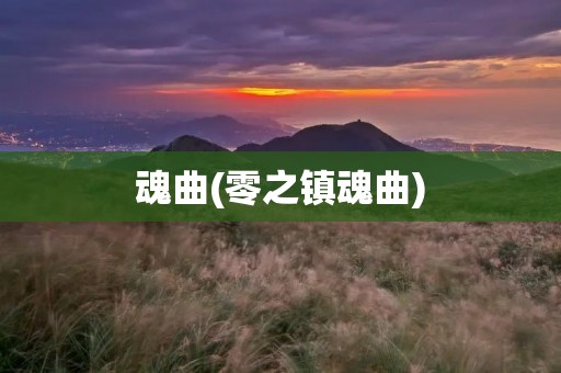 魂曲(零之镇魂曲)