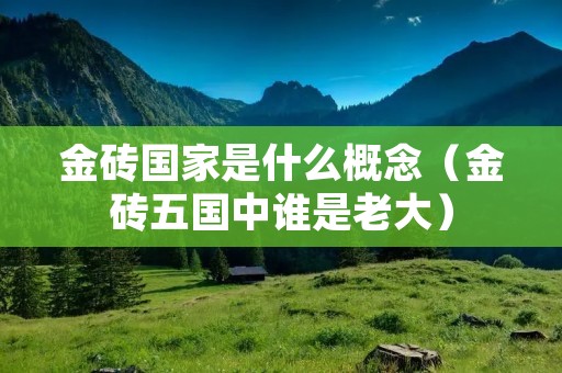 金砖国家是什么概念（金砖五国中谁是老大）