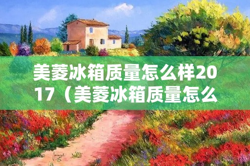 美菱冰箱质量怎么样2017(美菱冰箱质量怎么样?值得买不)