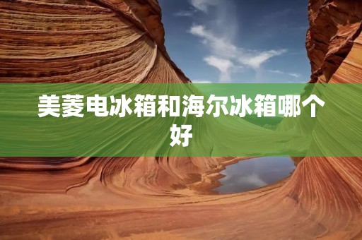 美菱电冰箱和海尔冰箱哪个好