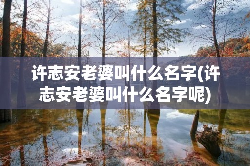 许志安老婆叫什么名字(许志安老婆叫什么名字呢) 许志安老婆叫什么名字(许志安老婆叫什么名字呢)