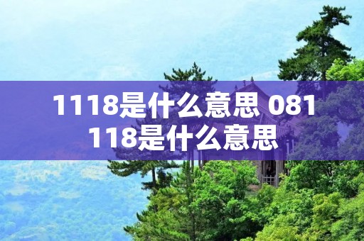 1118是什么意思 081118是什么意思