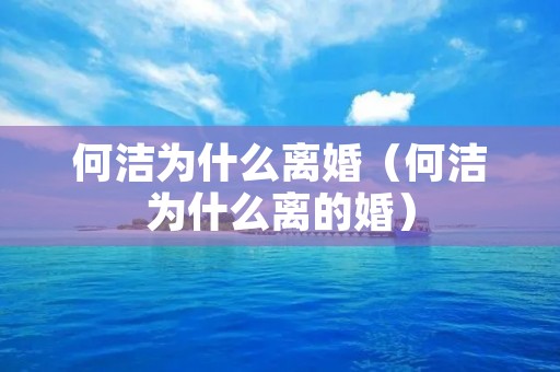 何洁为什么离婚(何洁为什么离的婚) 何洁为什么离婚(何洁为什么离的婚)