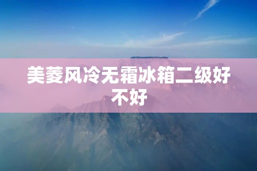 美菱风冷无霜冰箱二级好不好