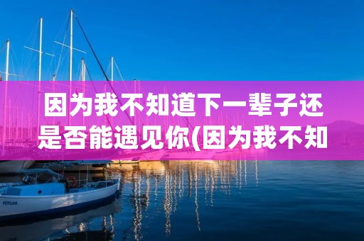 因为我不知道下一辈子还是否能遇见你(因为我不知道下一辈子还是否能遇见你所以我今生才会)