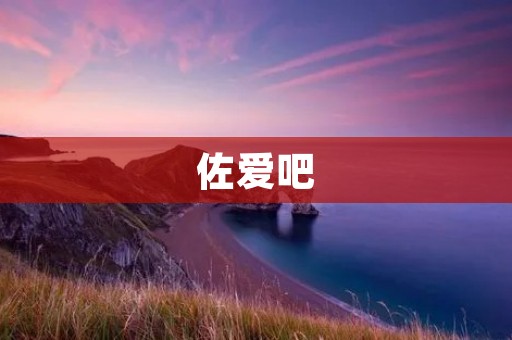 佐爱吧