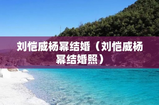 刘恺威杨幂结婚（刘恺威杨幂结婚照）