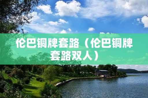 伦巴铜牌套路（伦巴铜牌套路双人）