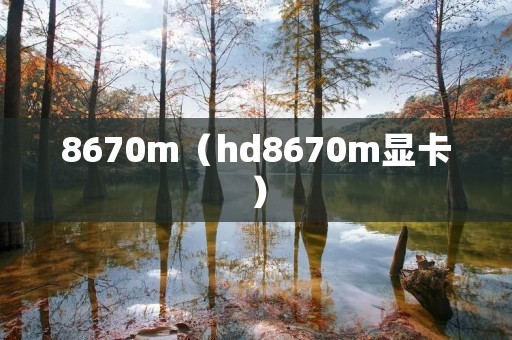 8670m（hd8670m显卡）