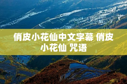 俏皮小花仙中文字幕 俏皮小花仙 咒语