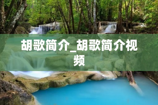 胡歌简介_胡歌简介视频