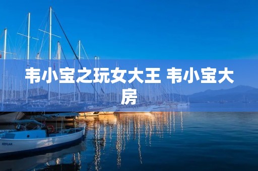 韦小宝之玩女大王 韦小宝大房