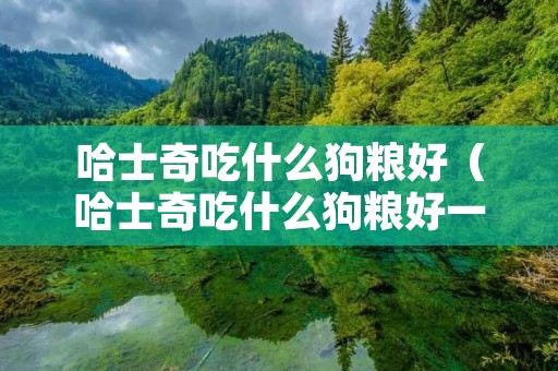哈士奇吃什么狗粮好(哈士奇吃什么狗粮好一点) 哈士奇吃什么狗粮好(哈士奇吃什么狗粮好一点)
