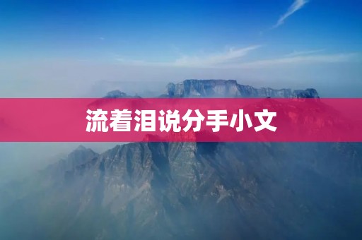 流着泪说分手小文 流着泪说分手小文
