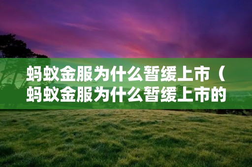 蚂蚁金服为什么暂缓上市(蚂蚁金服为什么暂缓上市的时间) 蚂蚁金服为什么暂缓上市(蚂蚁金服为什么暂缓上市的时间)