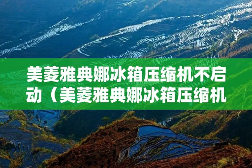 美菱雅典娜冰箱压缩机不启动（美菱雅典娜冰箱压缩机不启动怎么回事）