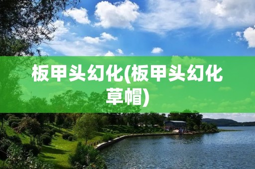 板甲头幻化(板甲头幻化草帽)