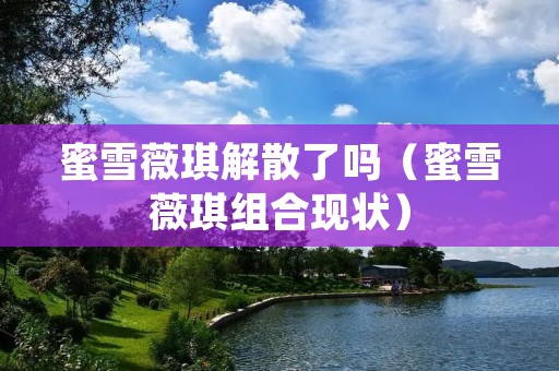 蜜雪薇琪解散了吗（蜜雪薇琪组合现状）