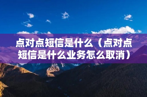点对点短信是什么（点对点短信是什么业务怎么取消）