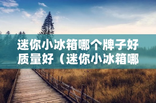 迷你小冰箱哪个牌子好质量好（迷你小冰箱哪个牌子好质量好又实惠）