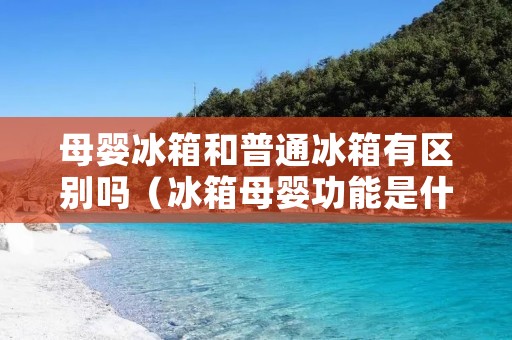 母婴冰箱和普通冰箱有区别吗（冰箱母婴功能是什么意思?）