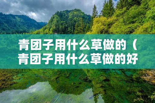 青团子用什么草做的（青团子用什么草做的好）