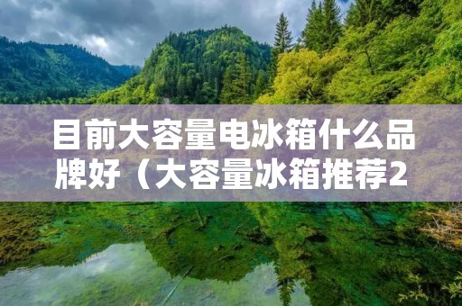 目前大容量电冰箱什么品牌好（大容量冰箱推荐2020年）