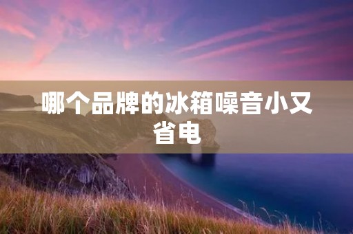 哪个品牌的冰箱噪音小又省电