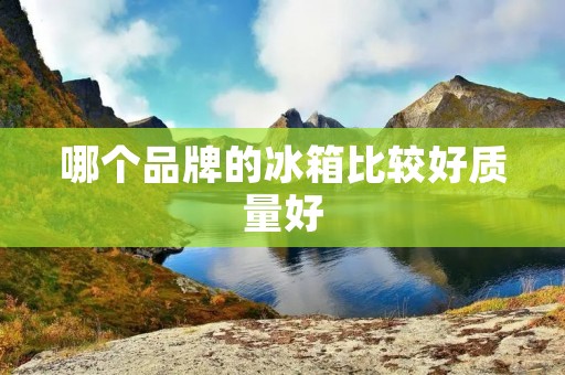 哪个品牌的冰箱比较好质量好