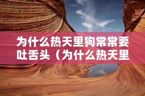 为什么热天里狗常常要吐舌头(为什么热天里狗常常要吐舌头喘气) 为什么热天里狗常常要吐舌头(为什么热天里狗常常要吐舌头喘气)