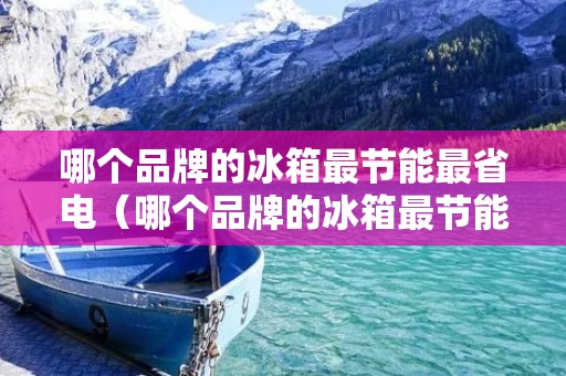 哪个品牌的冰箱最节能最省电(哪个品牌的冰箱最节能最省电又好用) 哪个品牌的冰箱最节能最省电(哪个品牌的冰箱最节能最省电又好用)