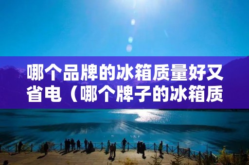 哪个品牌的冰箱质量好又省电（哪个牌子的冰箱质量好又省电）