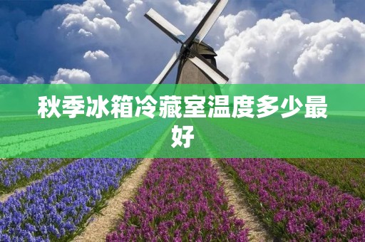 秋季冰箱冷藏室温度多少最好 秋季冰箱冷藏室温度多少最好