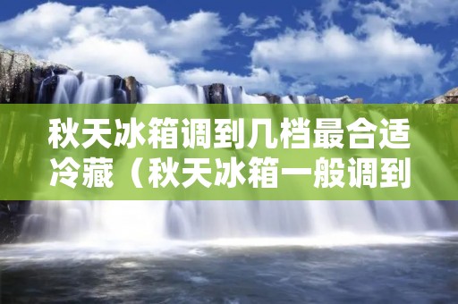 秋天冰箱调到几档最合适冷藏（秋天冰箱一般调到几档最合适）