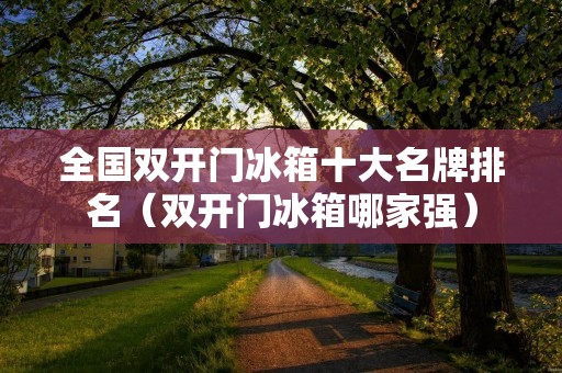 全国双开门冰箱十大名牌排名（双开门冰箱哪家强）