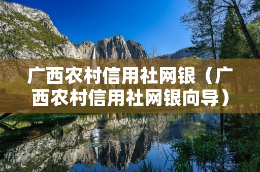 广西农村信用社网银(广西农村信用社网银向导) 广西农村信用社网银(广西农村信用社网银向导)