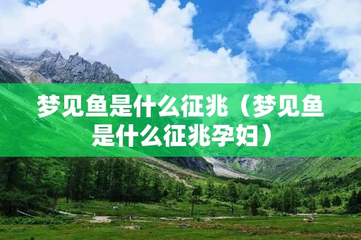 梦见鱼是什么征兆(梦见鱼是什么征兆孕妇) 梦见鱼是什么征兆(梦见鱼是什么征兆孕妇)