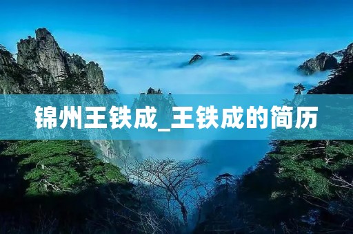 锦州王铁成_王铁成的简历 锦州王铁成_王铁成的简历