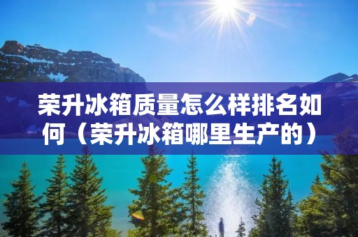 荣升冰箱质量怎么样排名如何（荣升冰箱哪里生产的）